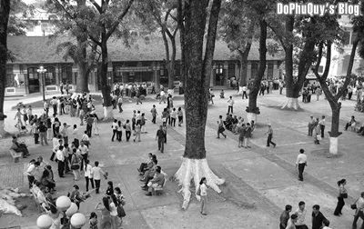 Thăm lại trường xưa