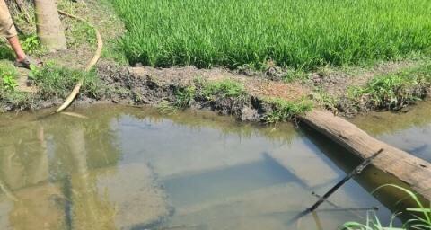 Kênh thủy lợi 14 tỷ sâu hơn mặt ruộng: Đúng thiết kế?