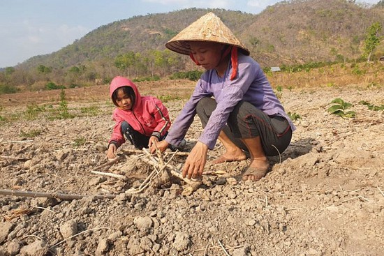 Thiếu hồ thủy lợi chống hạn tại Đắk Lắk: Hạn hán khốc liệt, cả triệu hécta đất thiếu nước