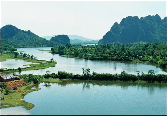 Cỏ ven đường
